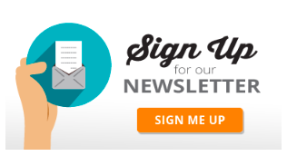 LM - Blog - Email marketing 11.png