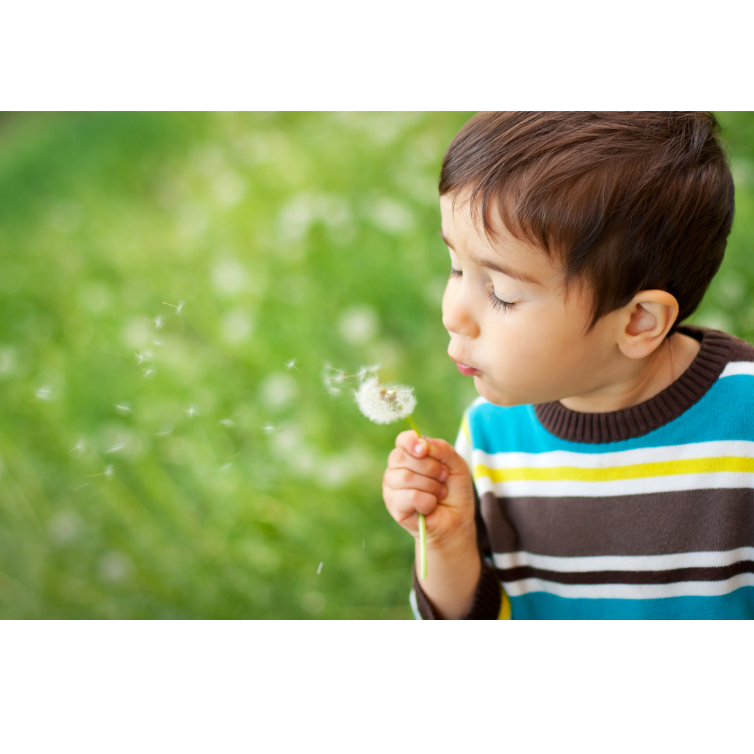 Untitled design-9.png