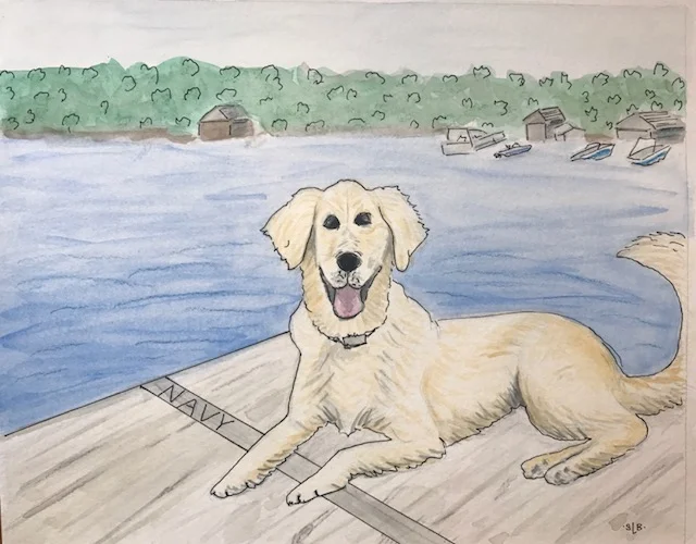 Golden Retriever Portrait