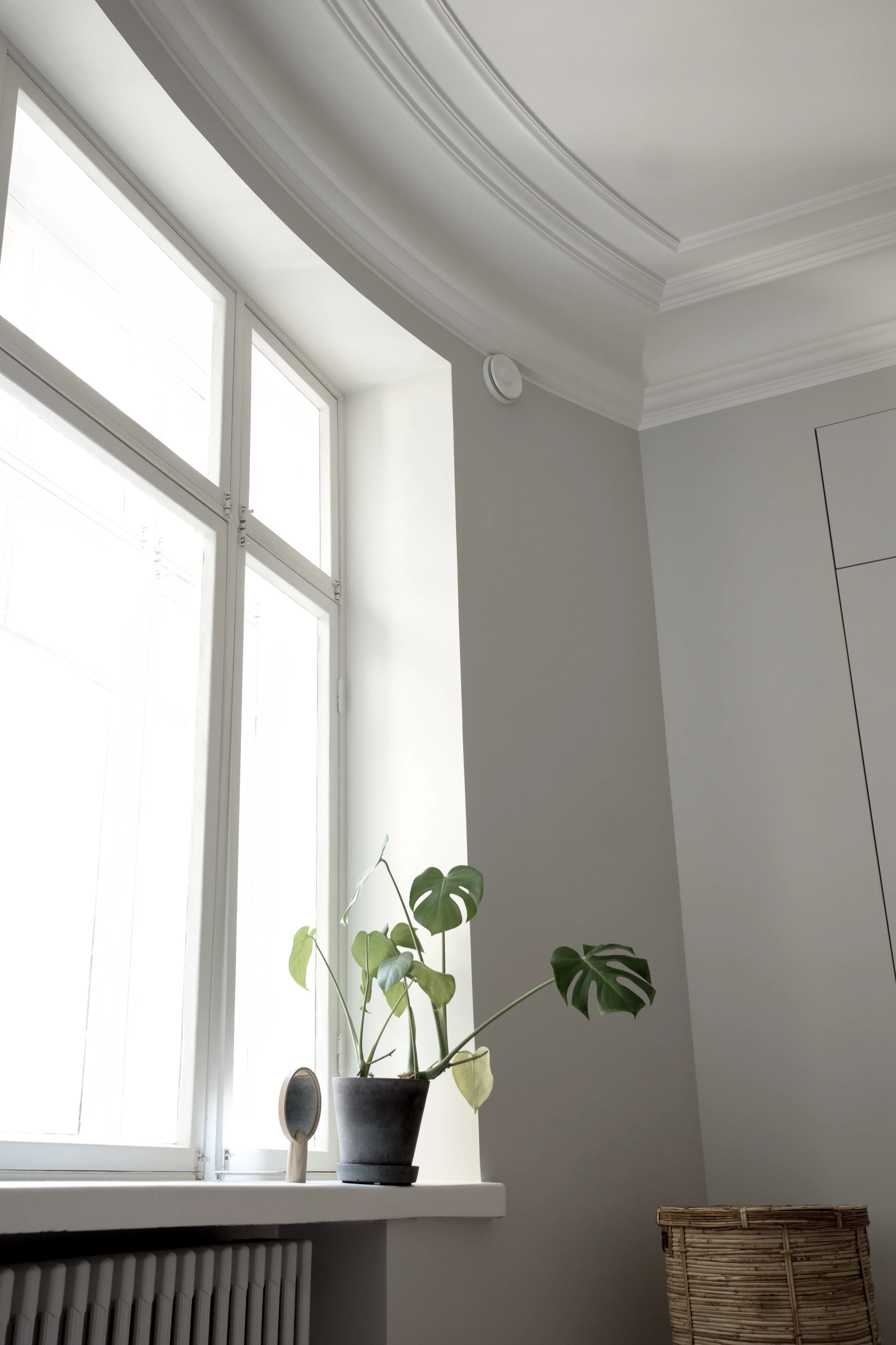 20180711Coterie-01754.jpg