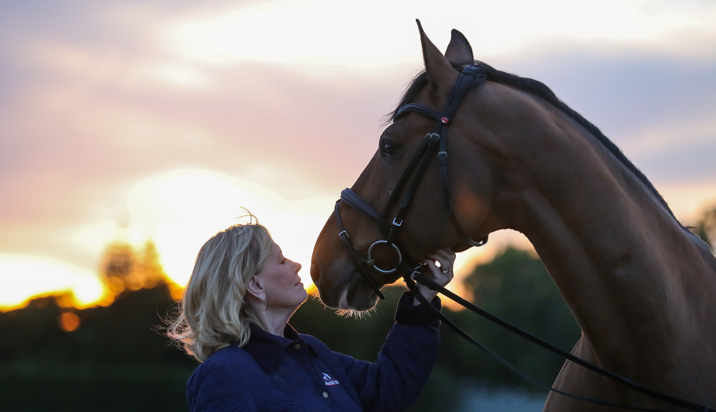 Blessen Erstellendaruma Fields Saddlery Blessen Erstellendaruma Fields Saddlery