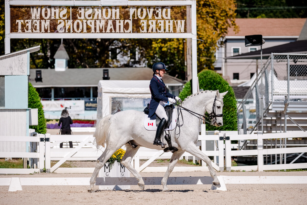 PURPLE HORSE DESIGNS DRESSAGE AT DEVON HEPNER SM-8272-2 (1).jpg