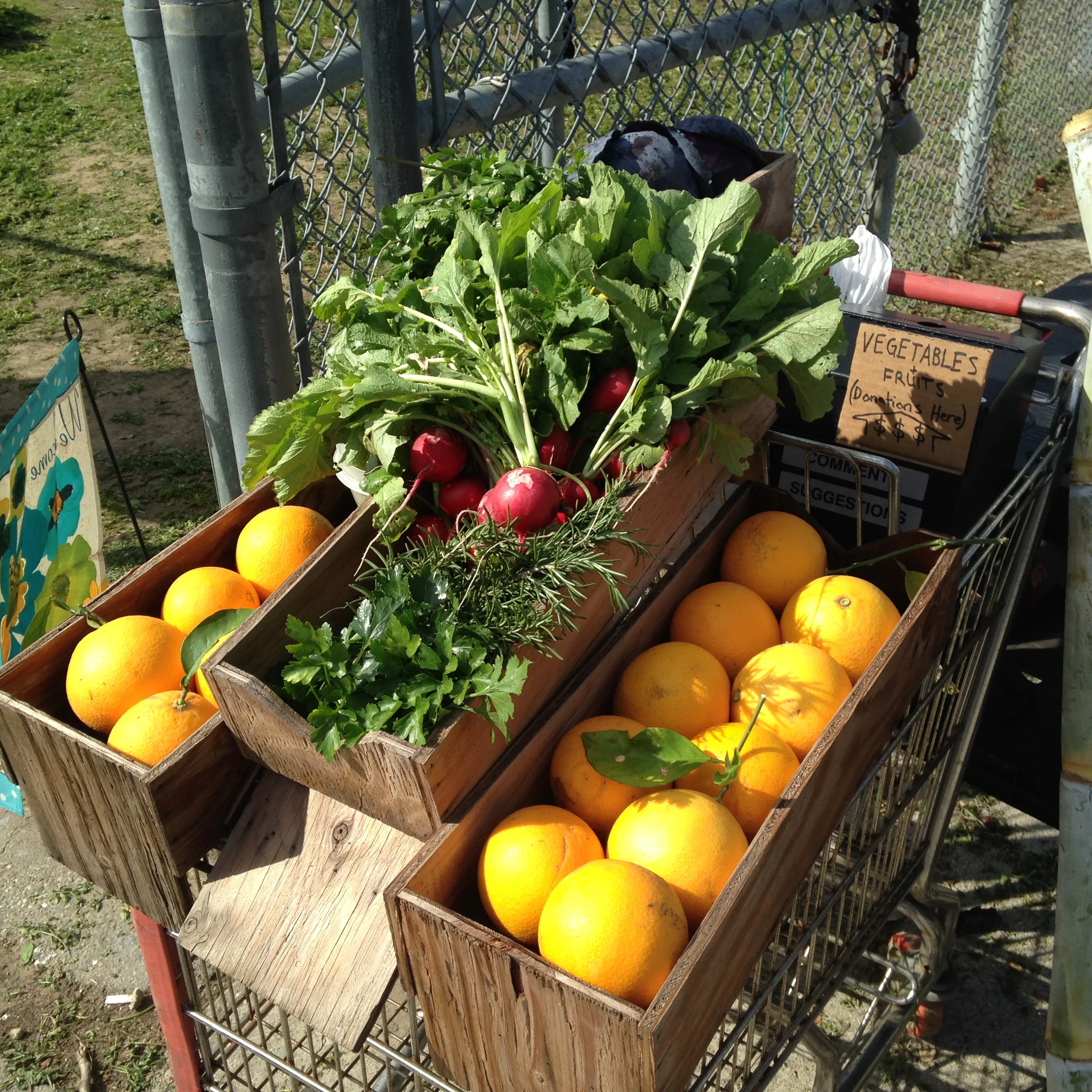 School Garden Markets
