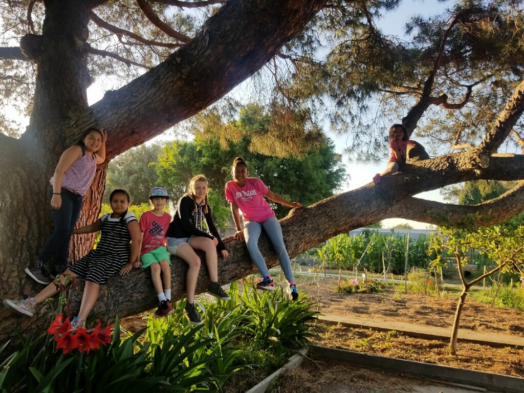 Healthy Living Lessons