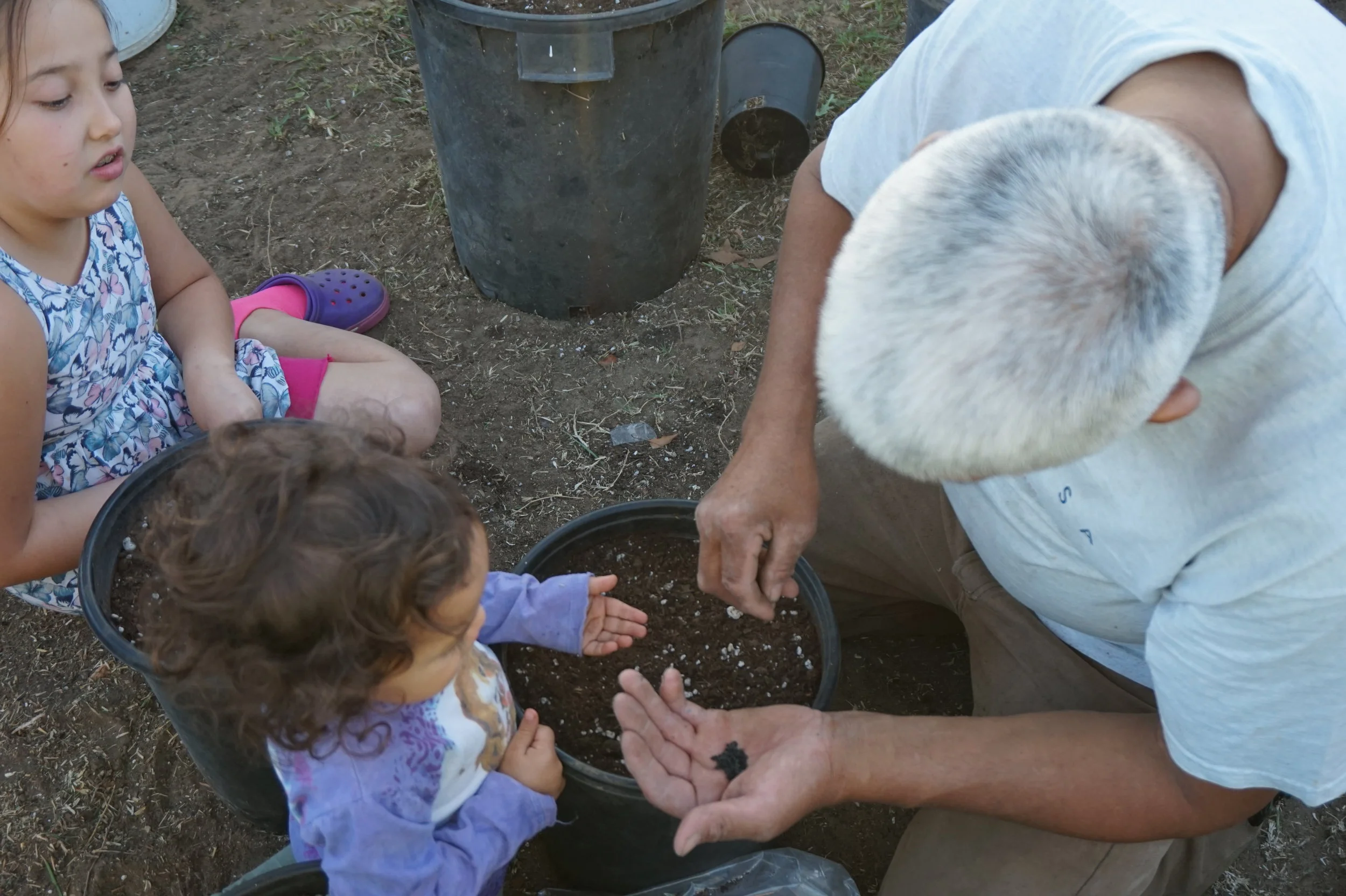 In-Home Gardening Lessons 