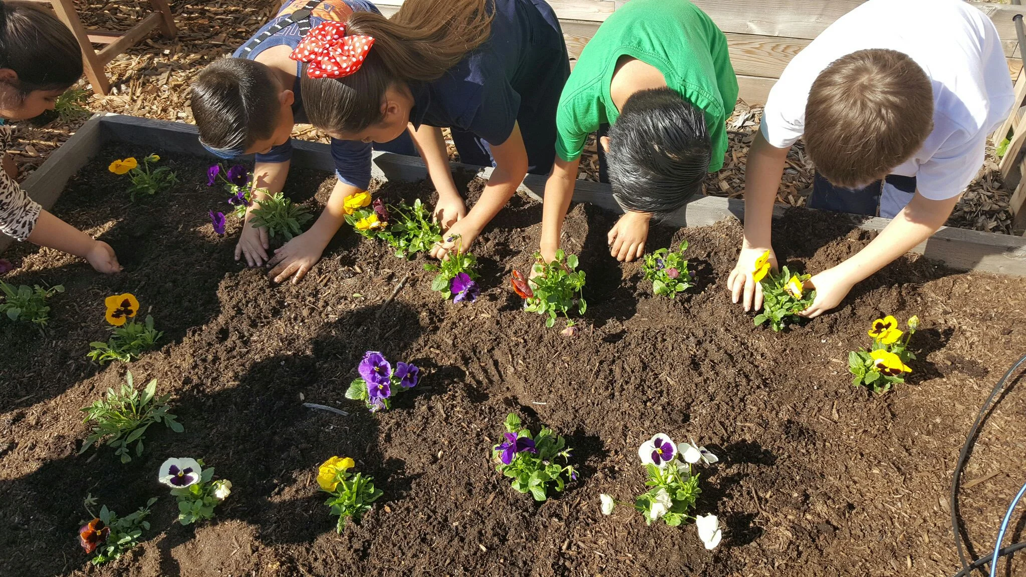 School Garden Workshops