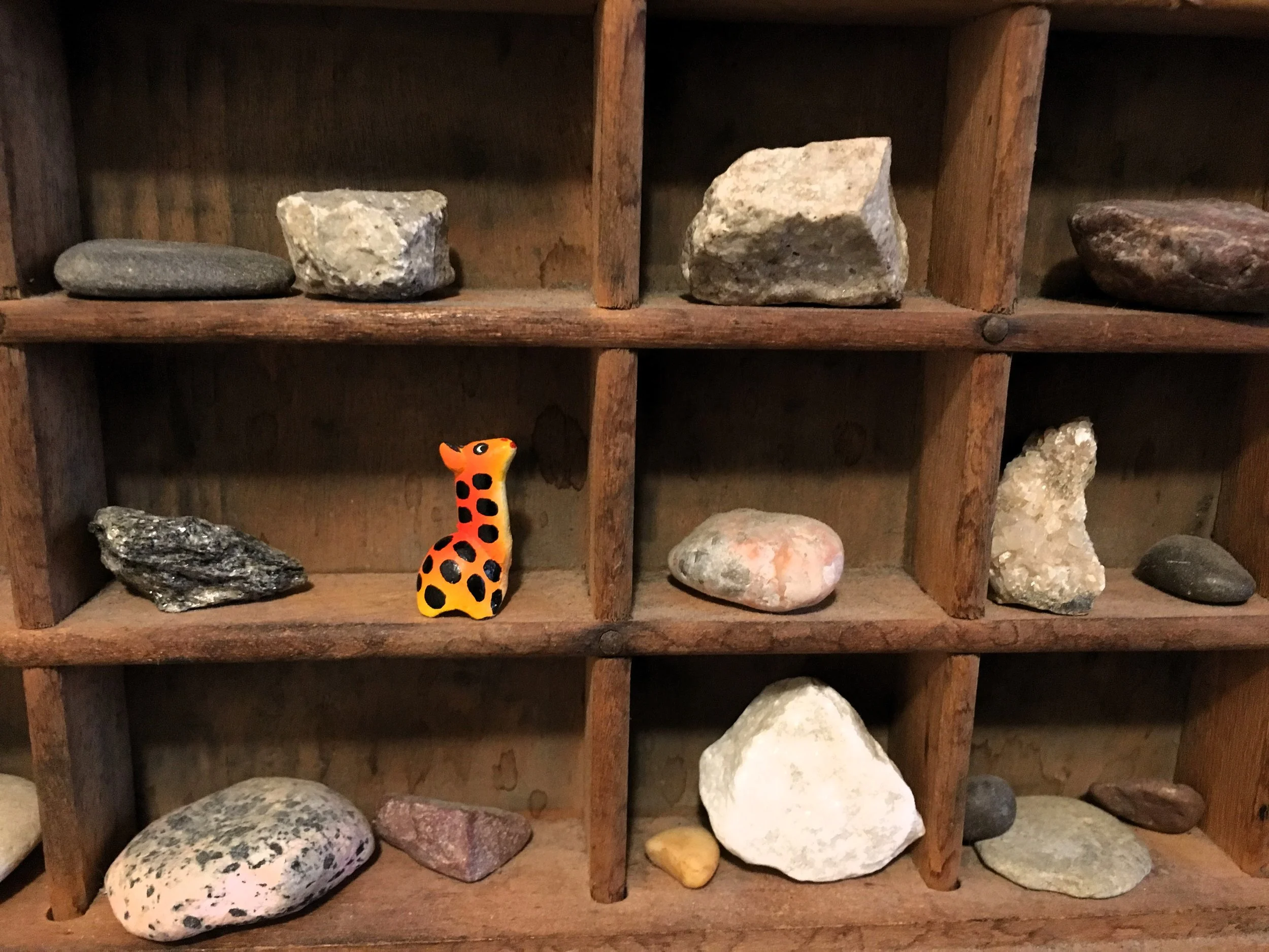 RC Collections with giraffe.JPG