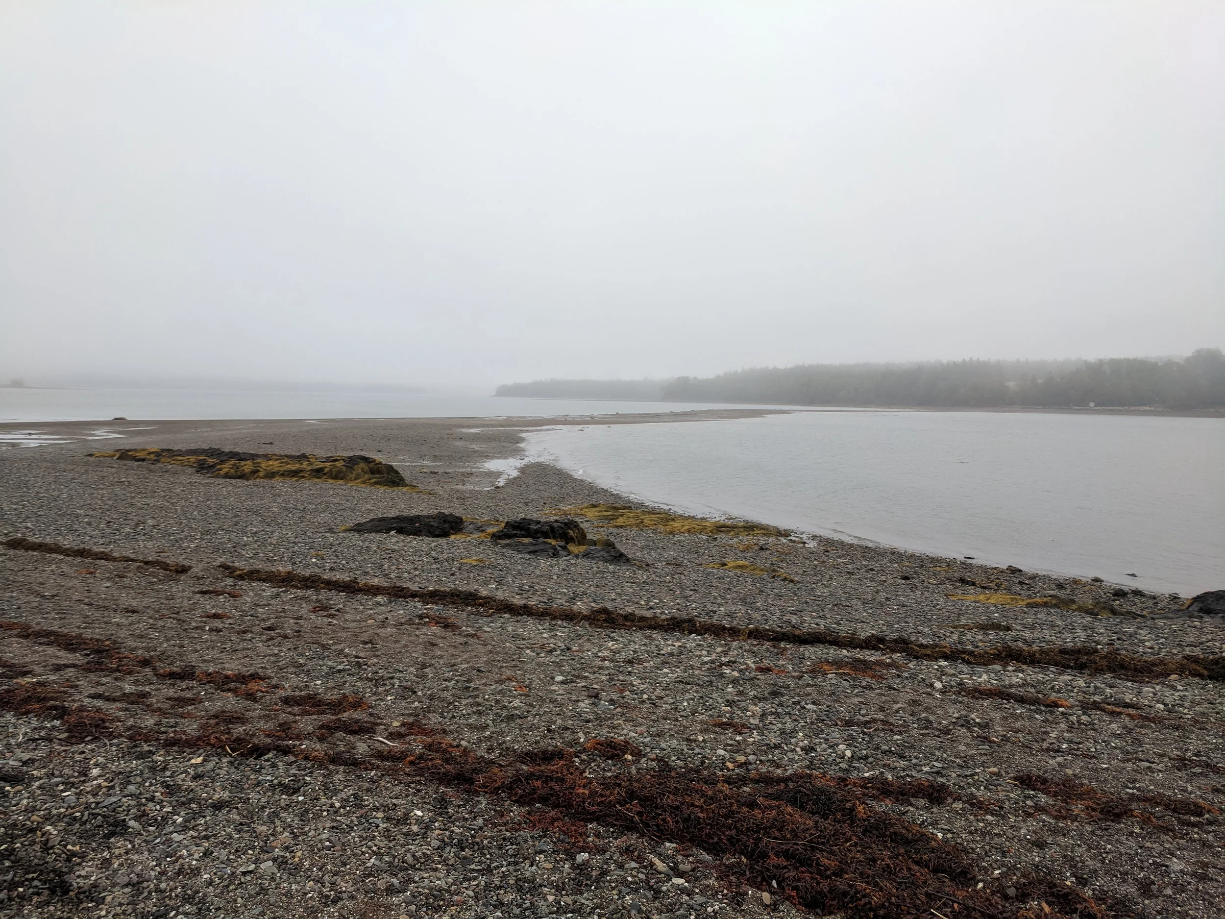 You can see part of the causeway in the background. It’s much larger at low tide.