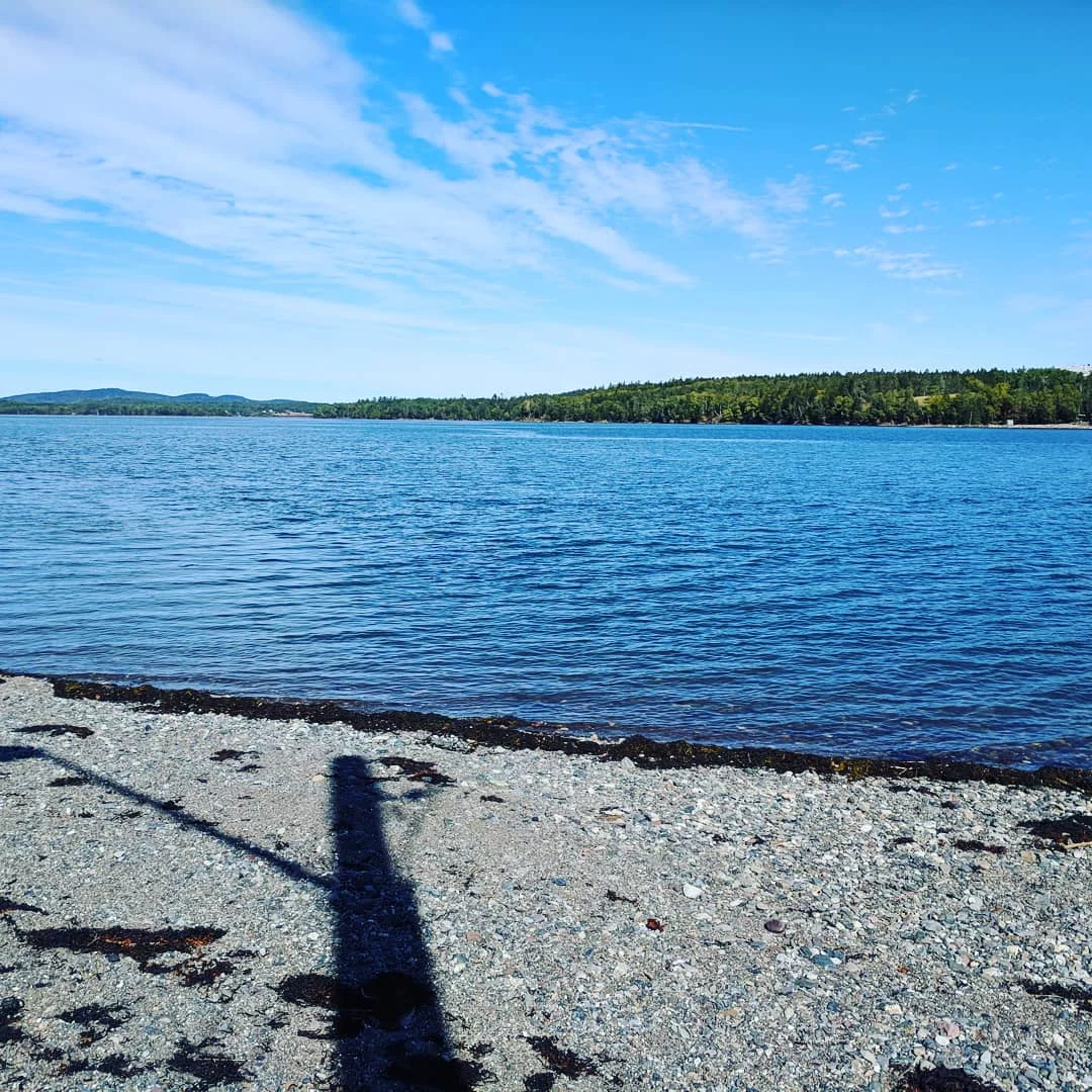 Remember the causeway from low tide. Now, not so much.