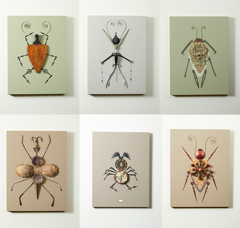 insectos.png
