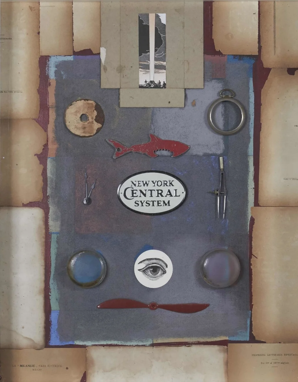 The Shark