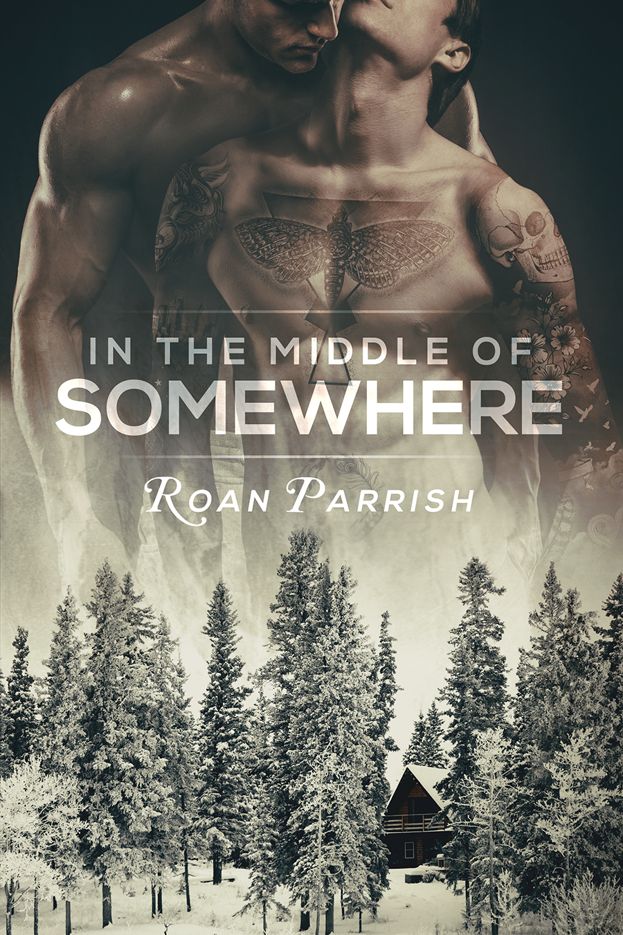 Roan Parrish author of gay romance