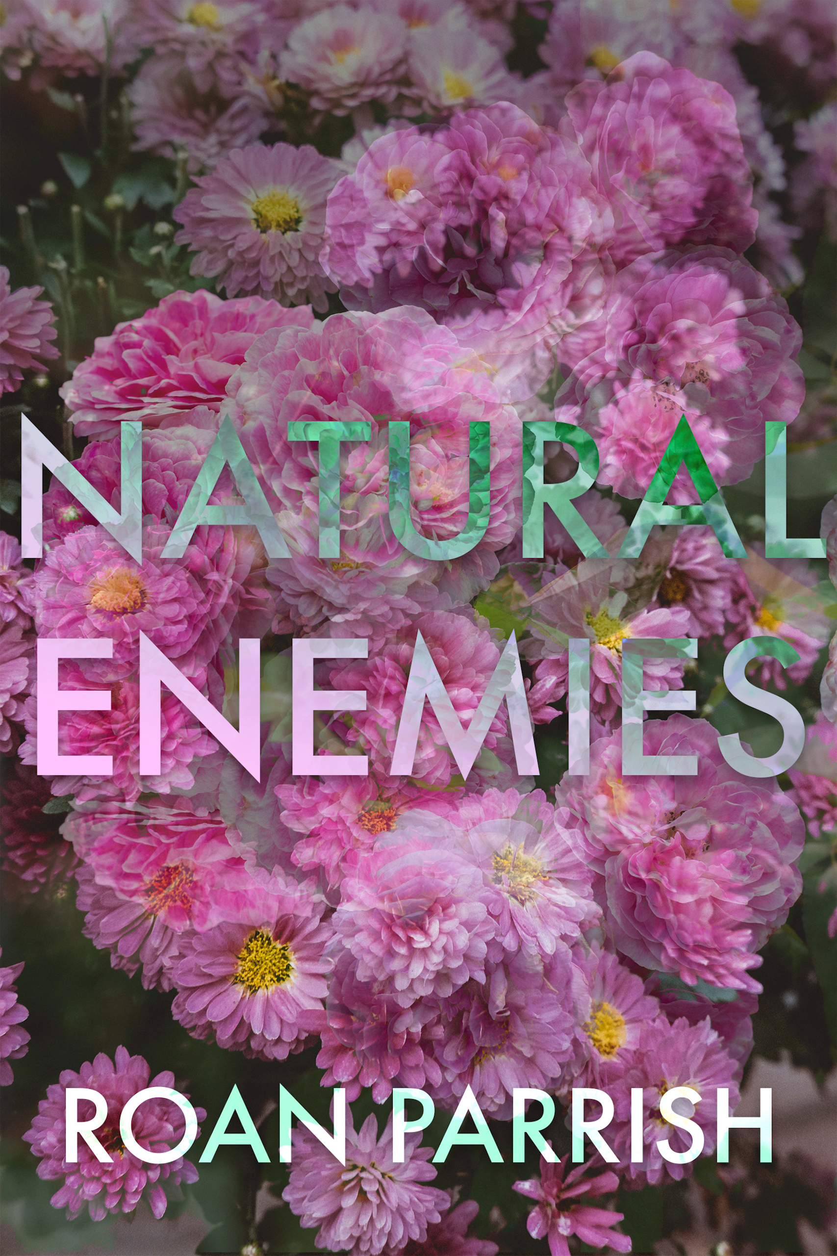 Natural Enemies Roan Parrish, author of contemporary gay romance