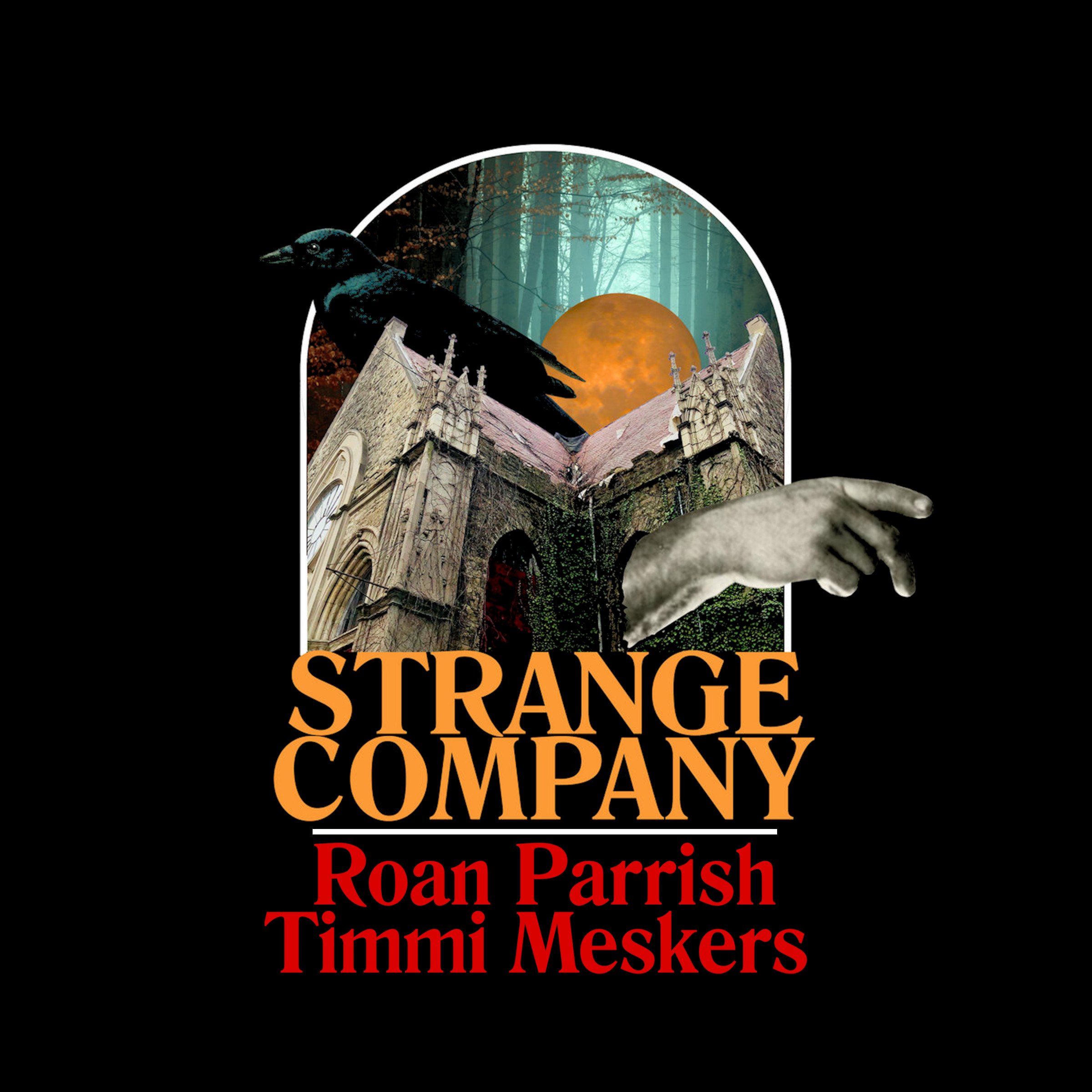 Strange Company by Roan Parrish and Timmi Meskers