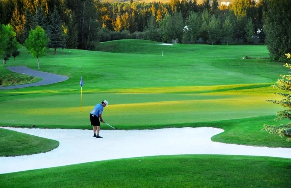 single golfer.jfif