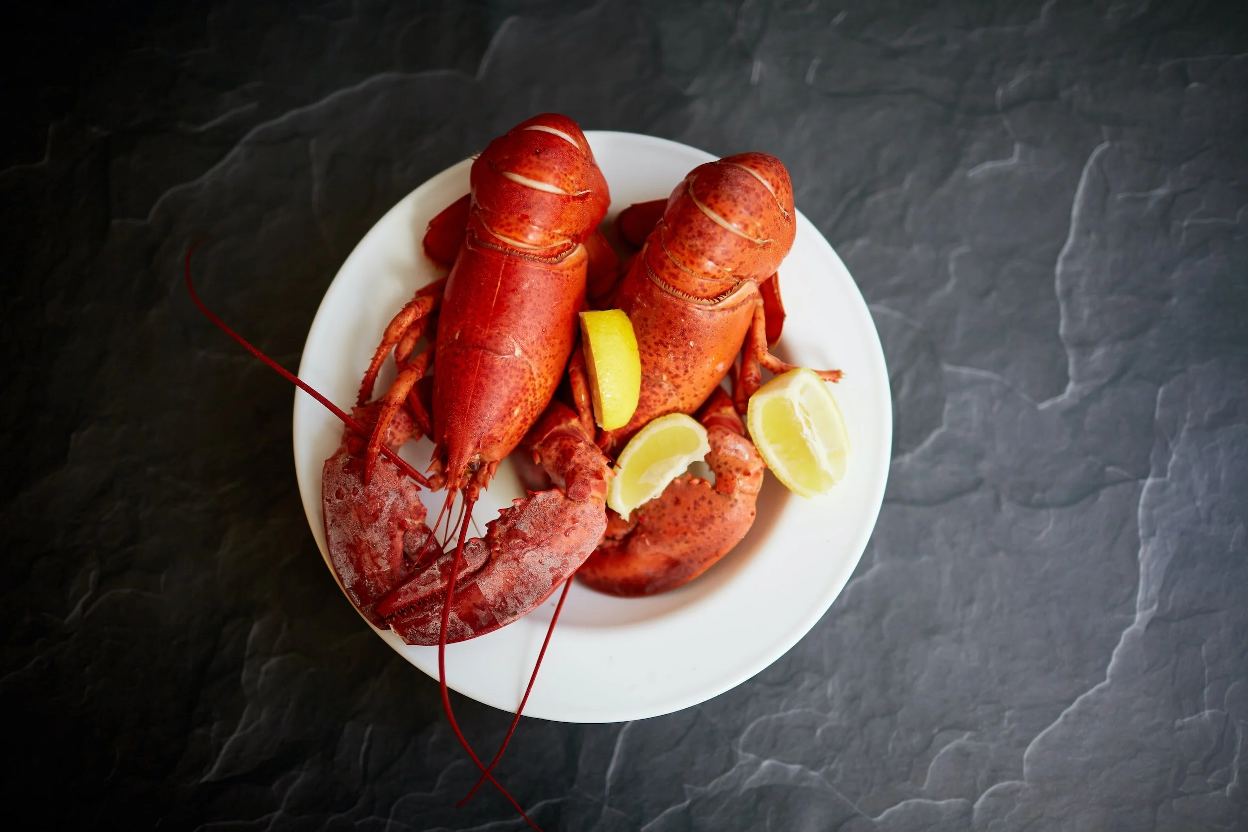 Lobsterfest 2025 - May 7th