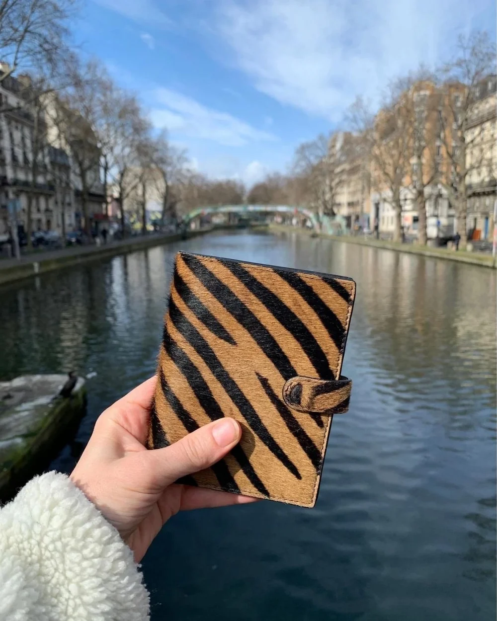 Creative Wallet Designs for Every Style