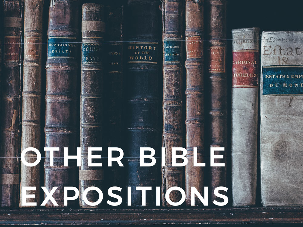 2.Other-Bible-expositions.jpg