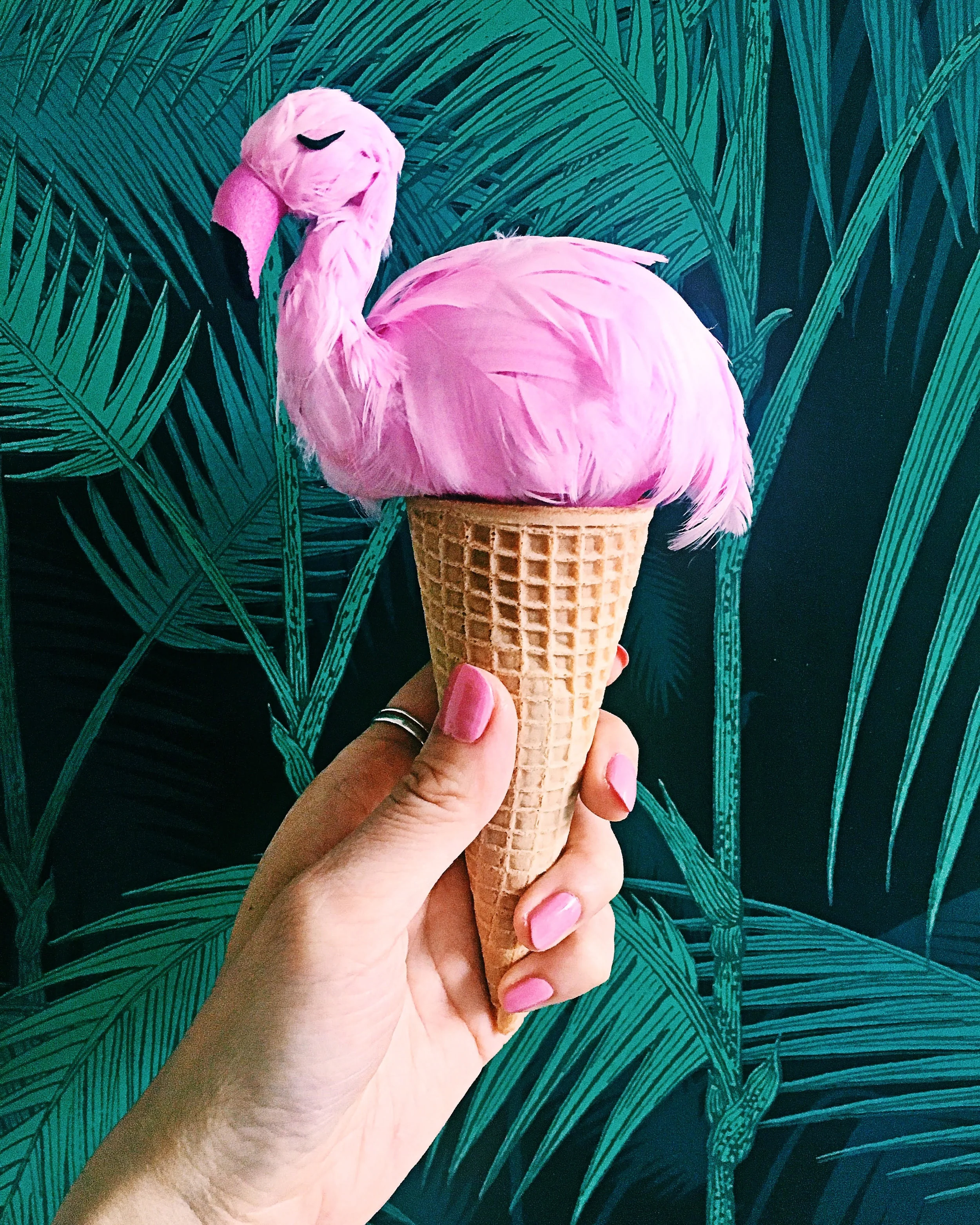 Flamingo