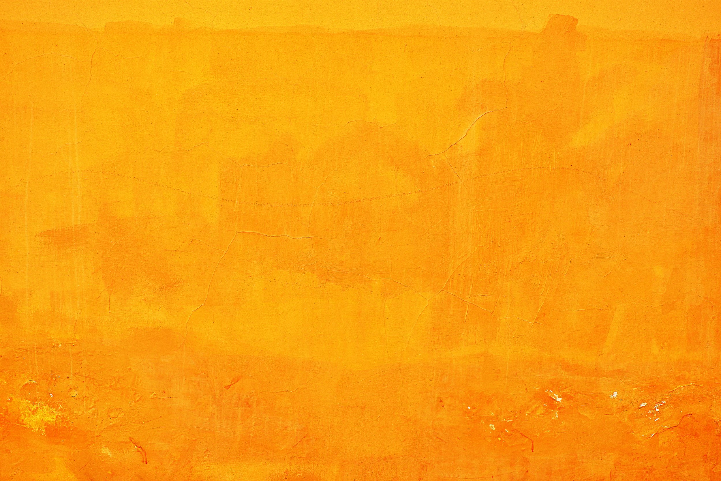 Patsy T. Mink Leadership Alliance Announces Fifth Cohort of Hawaii Women Leaders