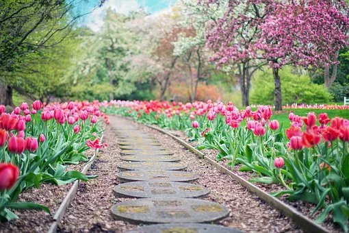pathway-2289978__340.jpg