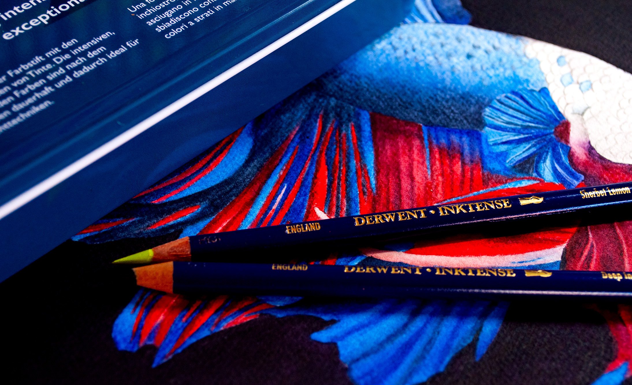 Derwent Inktense 100 Set Pencil Review — The Art Gear Guide
