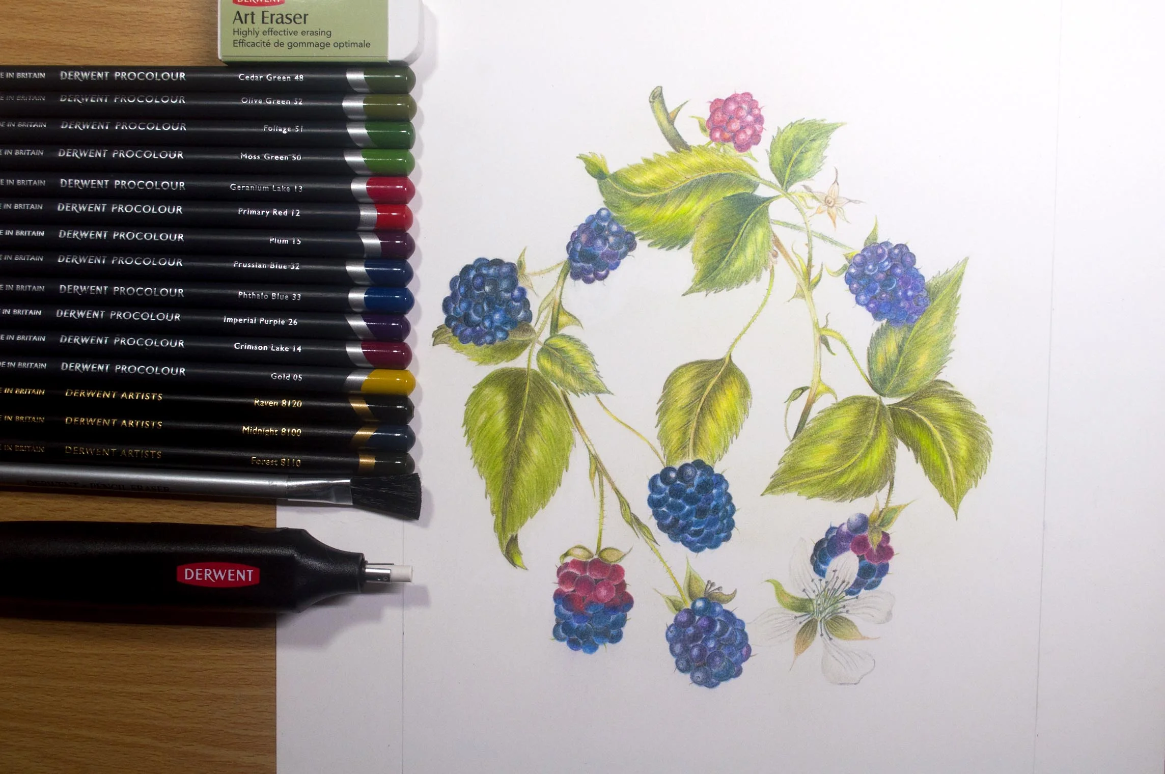Eleventh ProColour Botanical Image .jpg
