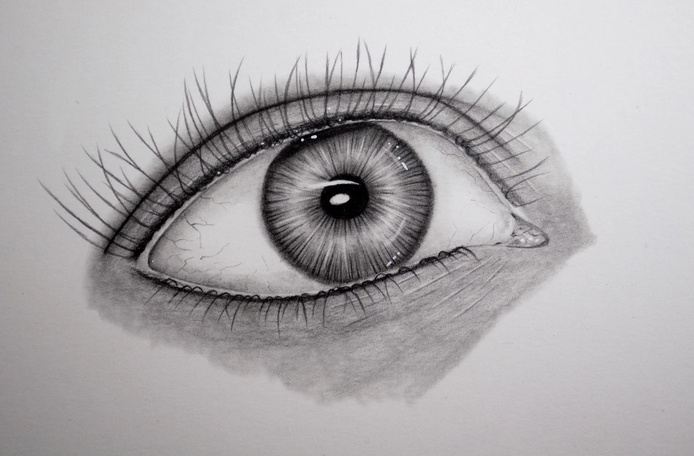 Eye 4.jpg