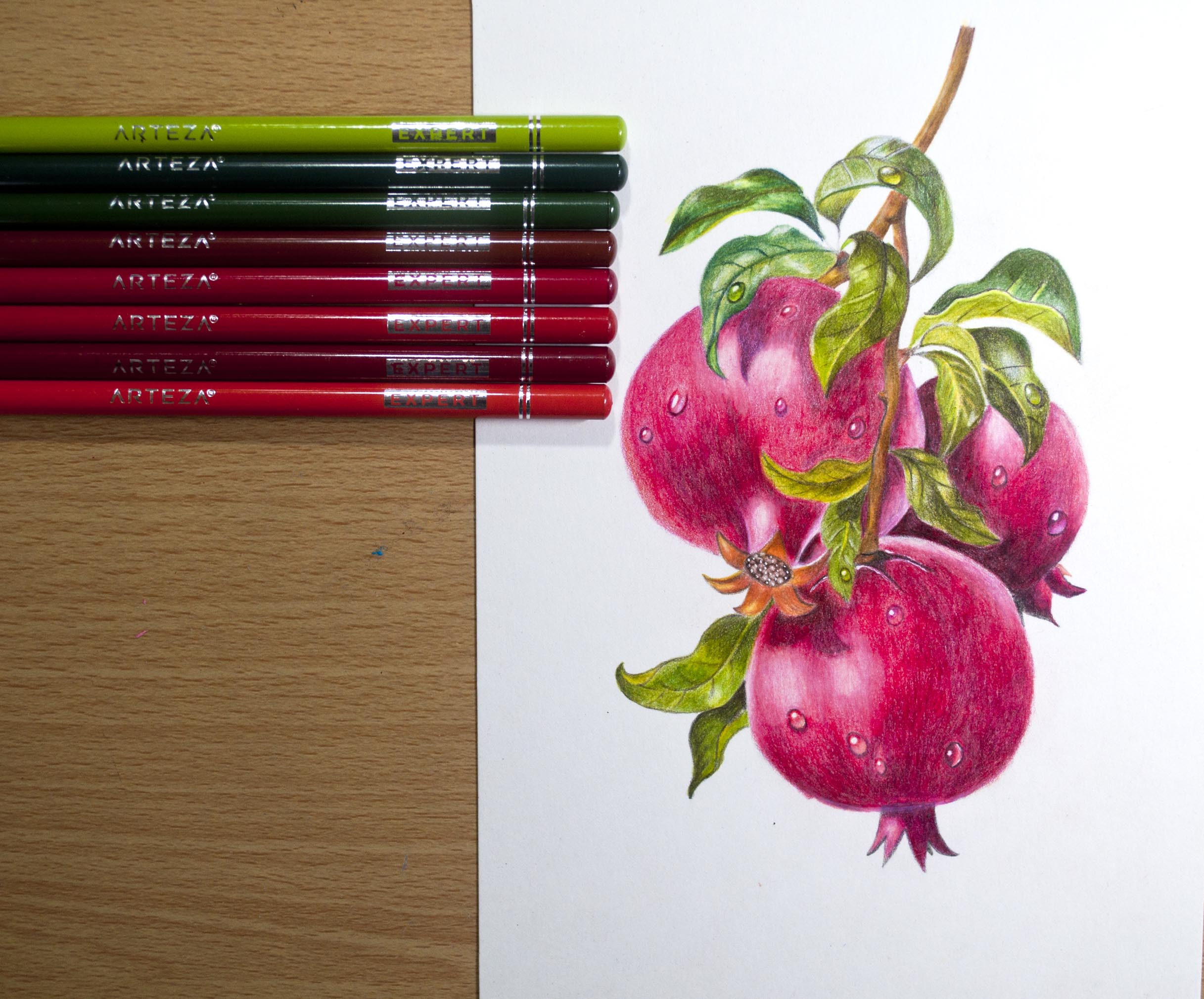 Pomegranate ink sketch set. - Stock Illustration [72422149] - PIXTA