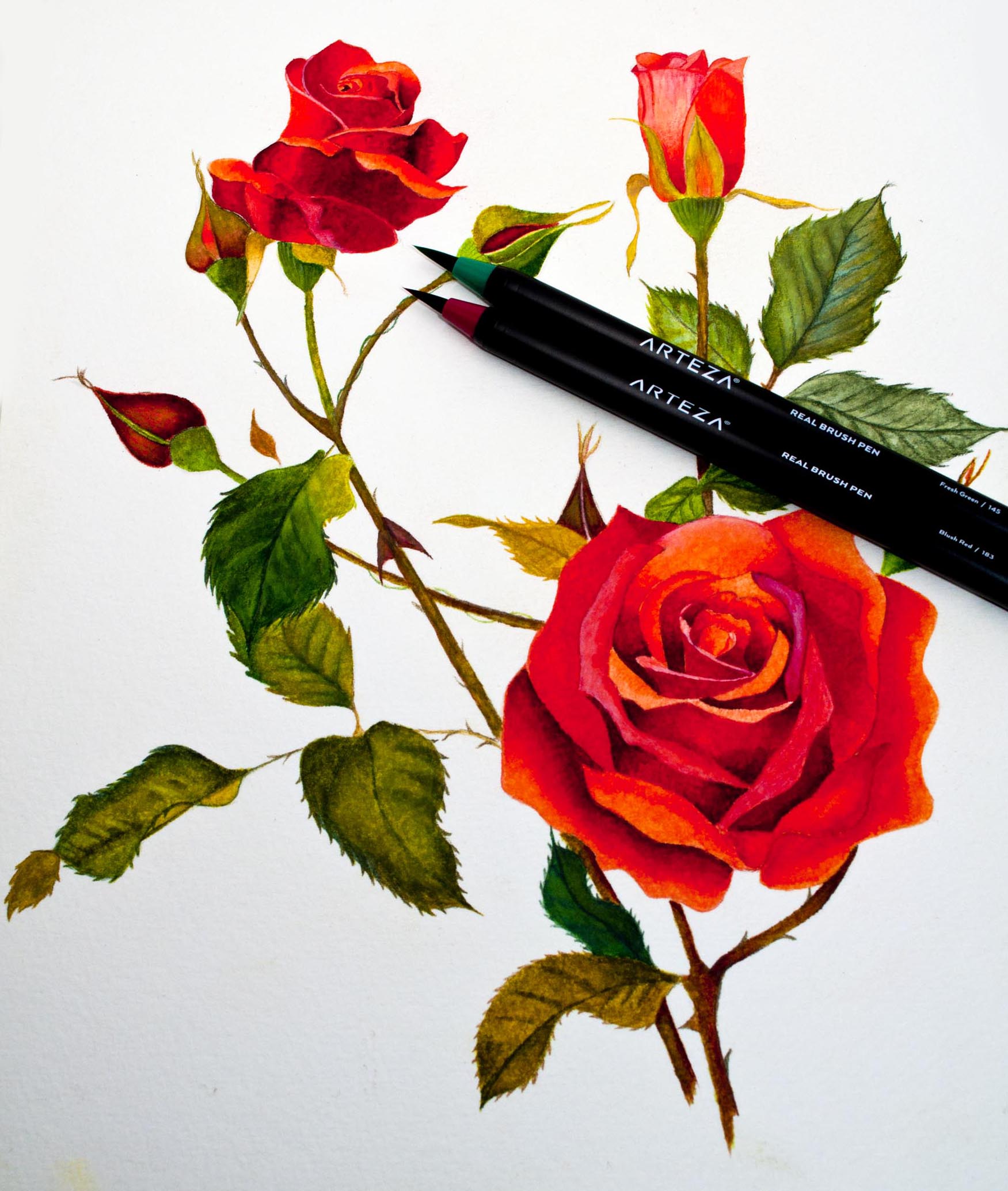 How to watercolor with ARTEZA Real Brush Pens 