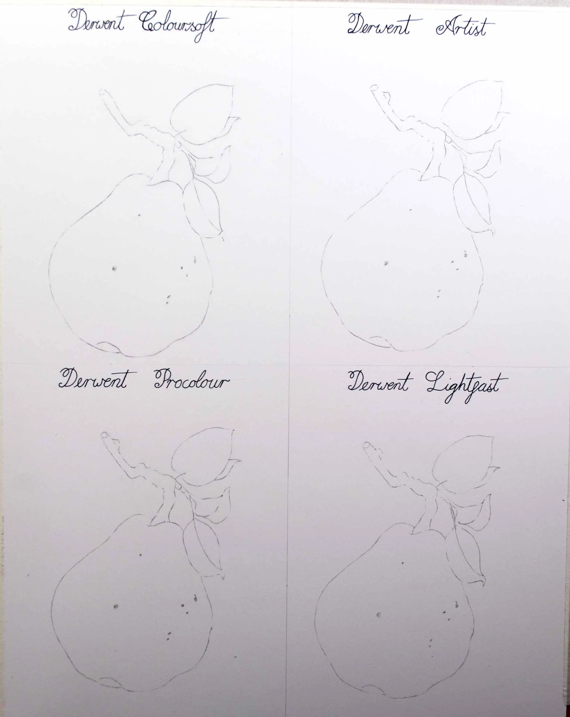 4 Botanical Images.jpg