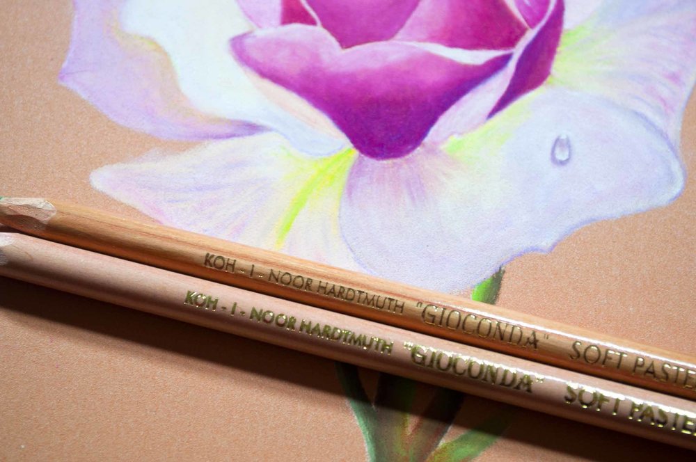 Koh-I-Noor Pastel Pencil Botanical Speed Drawing — The Art Gear Guide