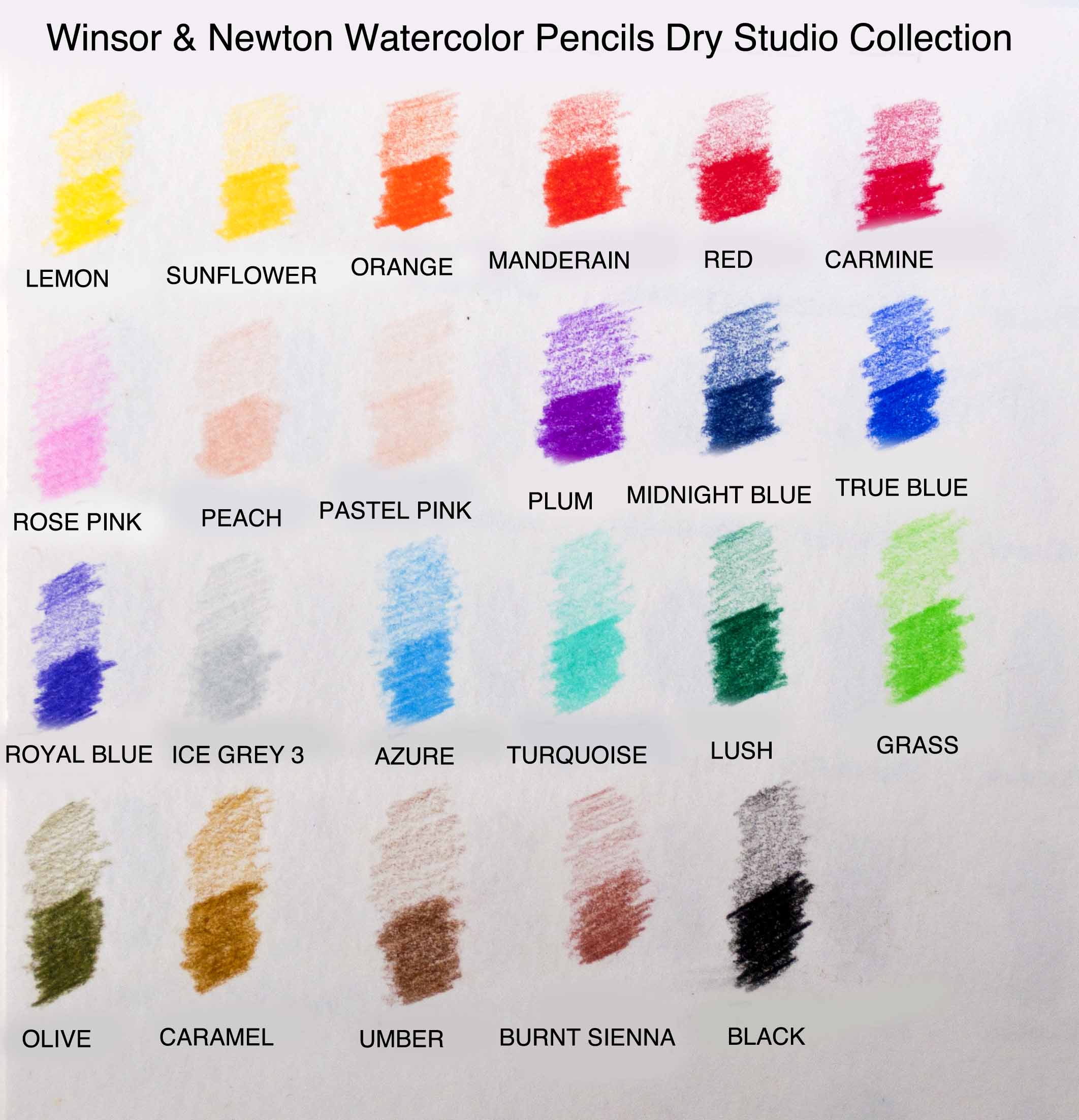 Winsor & Newton Studio Collection Artist Pencils, Watercolor Pencils, Set  of 12