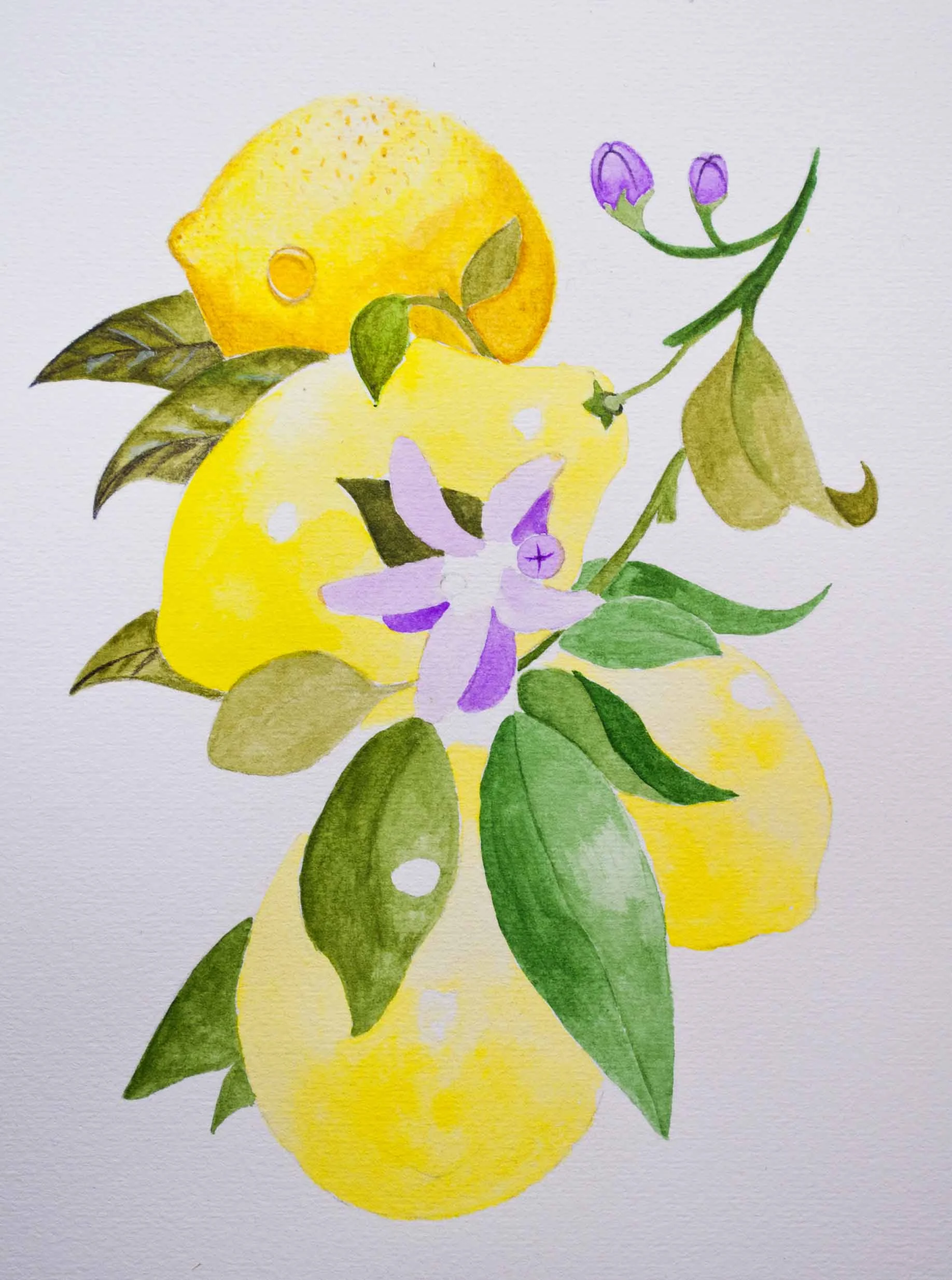 W&N Lemons 3.jpg