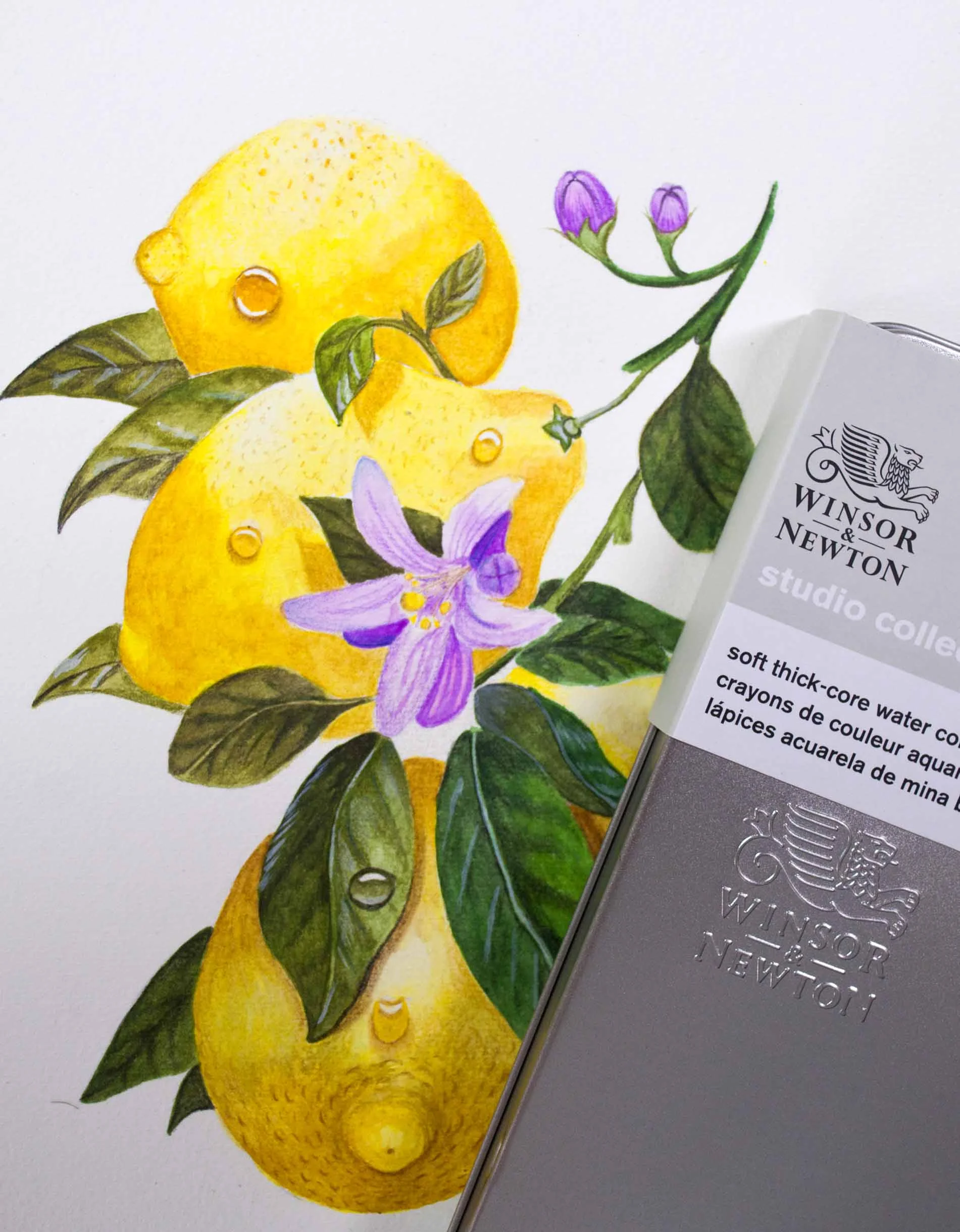W&N Lemons With Tin and Logo .jpg