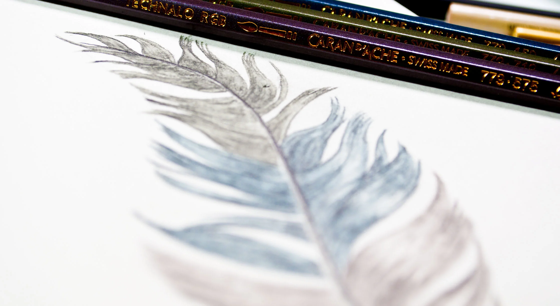 Caran Dache Feather Image Designer.jpg