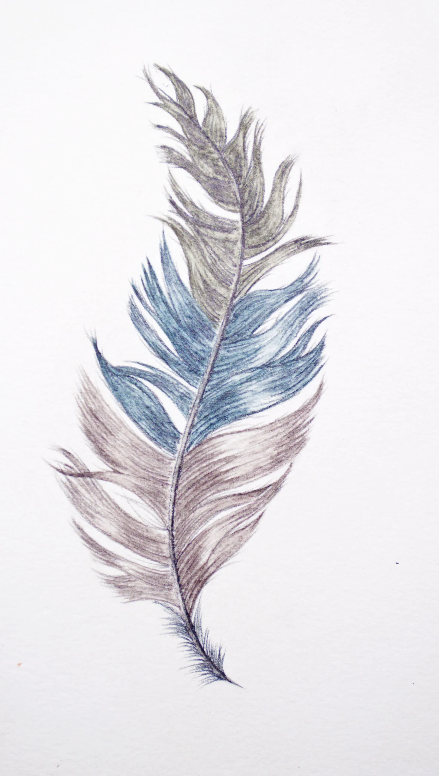 Caran Dache Final Feather .jpg