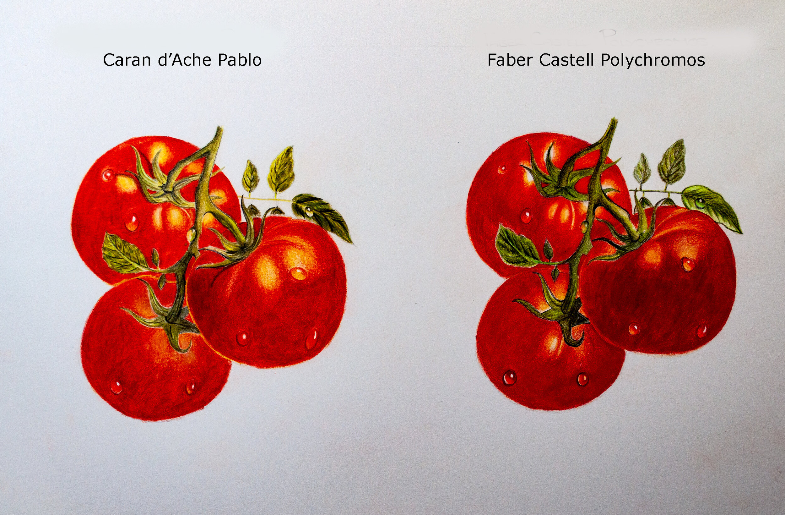 Caran Dache Pablo Versus Faber Castell Polychromos Comparison