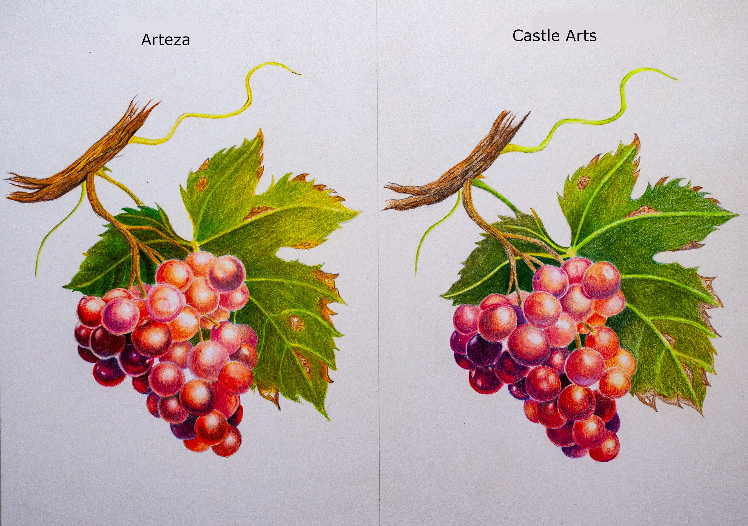 Arteza Expert Colored Pencils V Castle Art Supplies Coloured Pencils — The Art Gear Guide