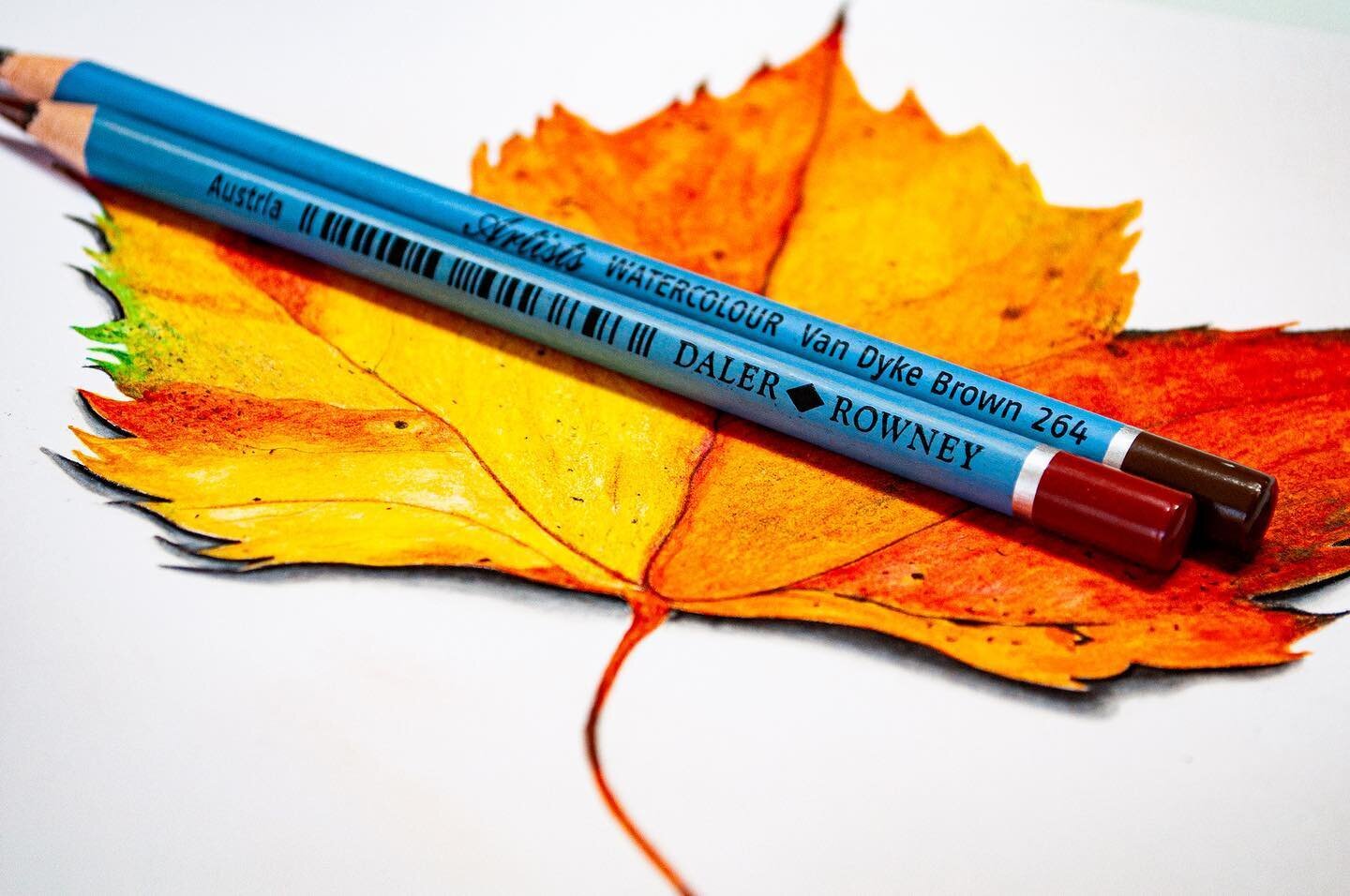 The Gypsy Chic: Arrtx Colored Pencil Review