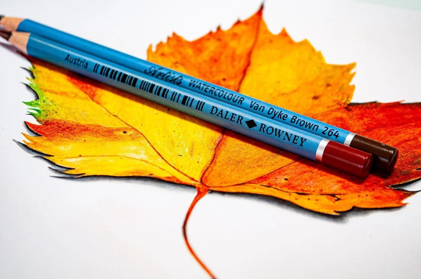 Derwent Procolour Winner — The Art Gear Guide