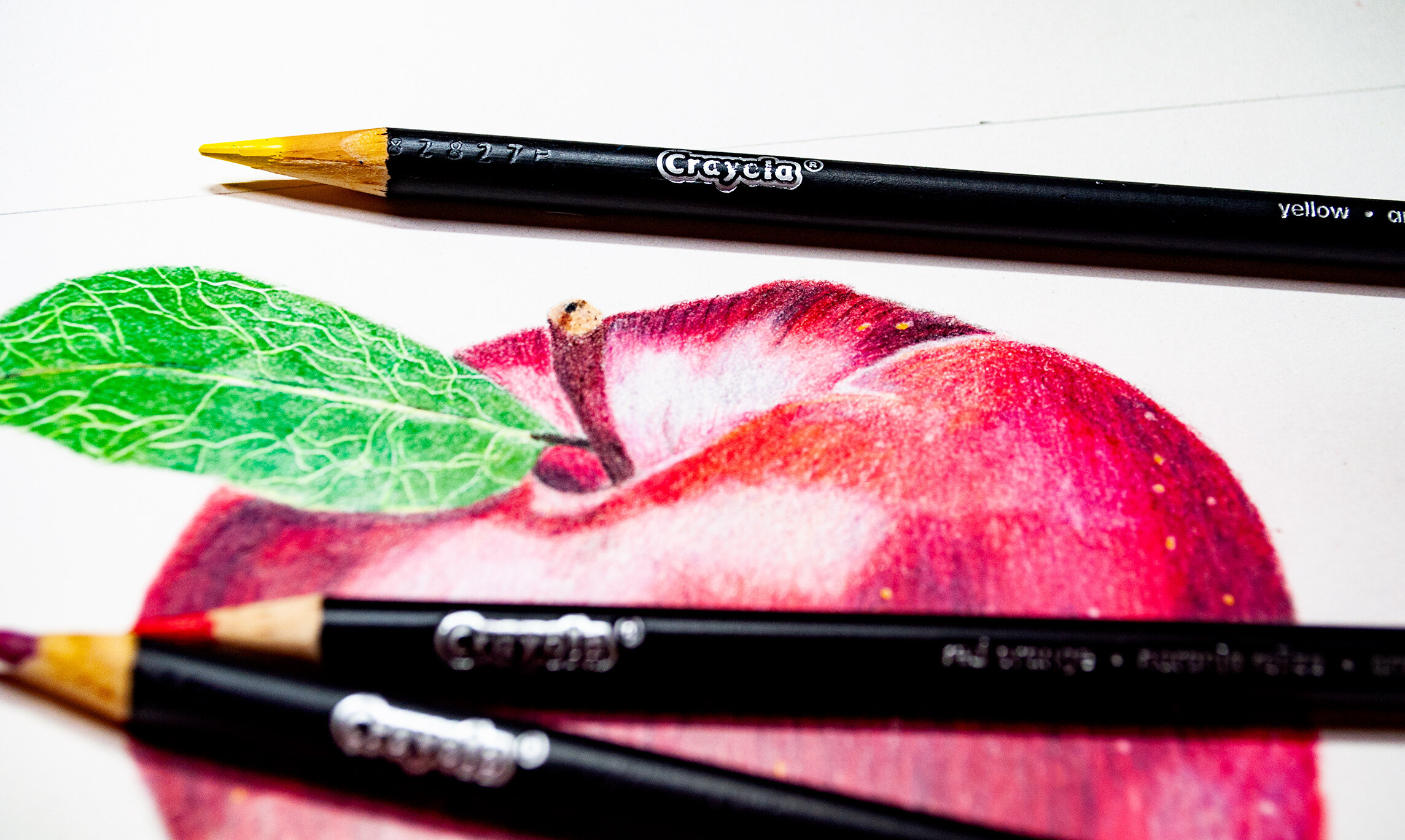 Review – Crayola Erasable Colored Pencils