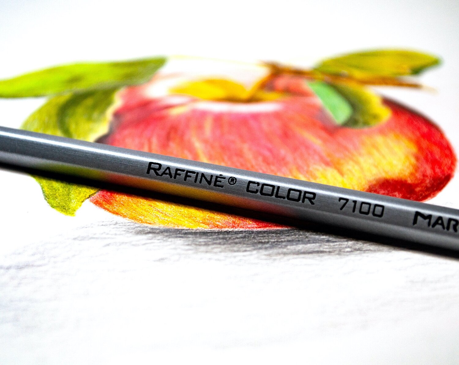 Marco C800 Square Colored Pencil Artwork Demonstration — The Art Gear Guide