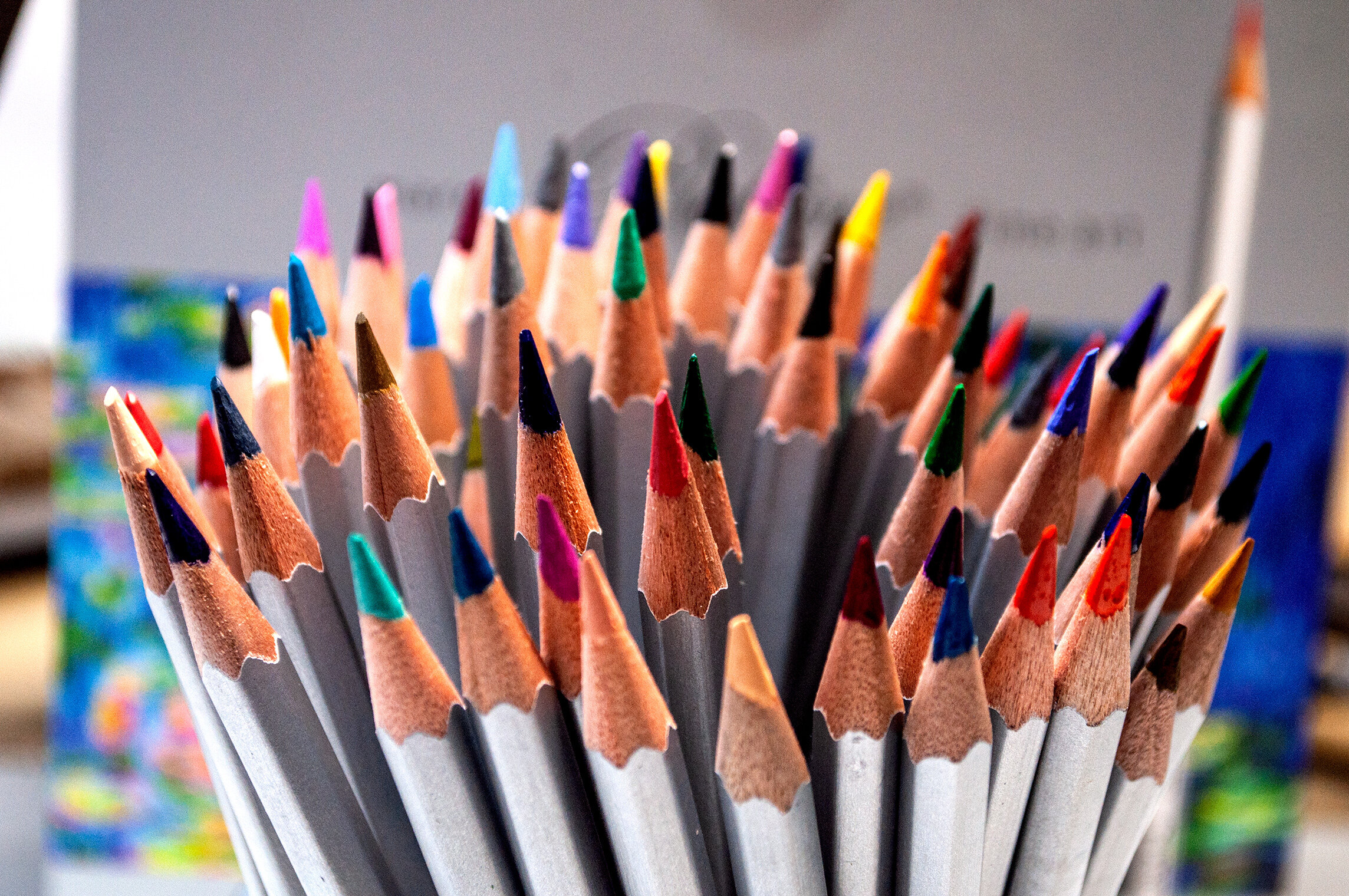 Types of Colored Pencils Explained: Wax vs Oil-Based
