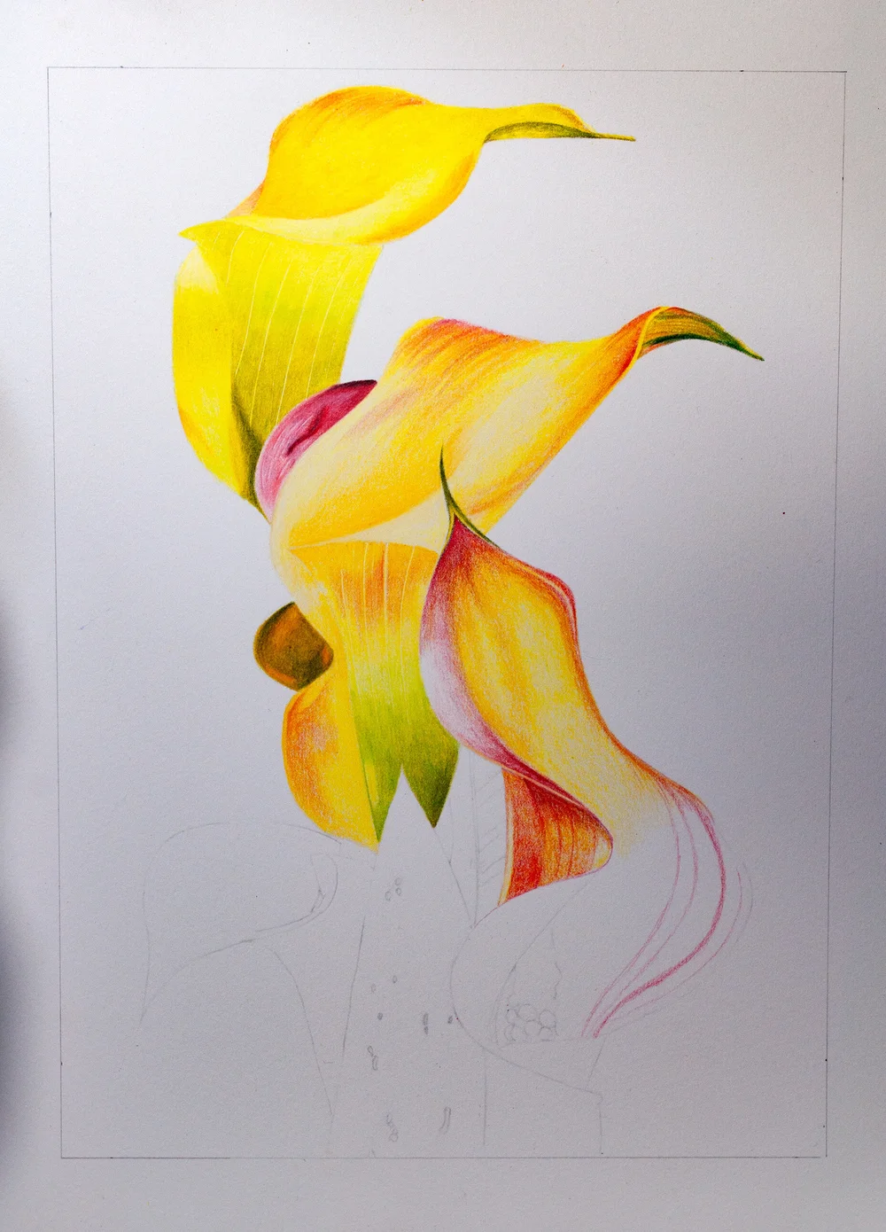 Brutfuner 520 Colored Pencils Botanical Art — The Art Gear Guide