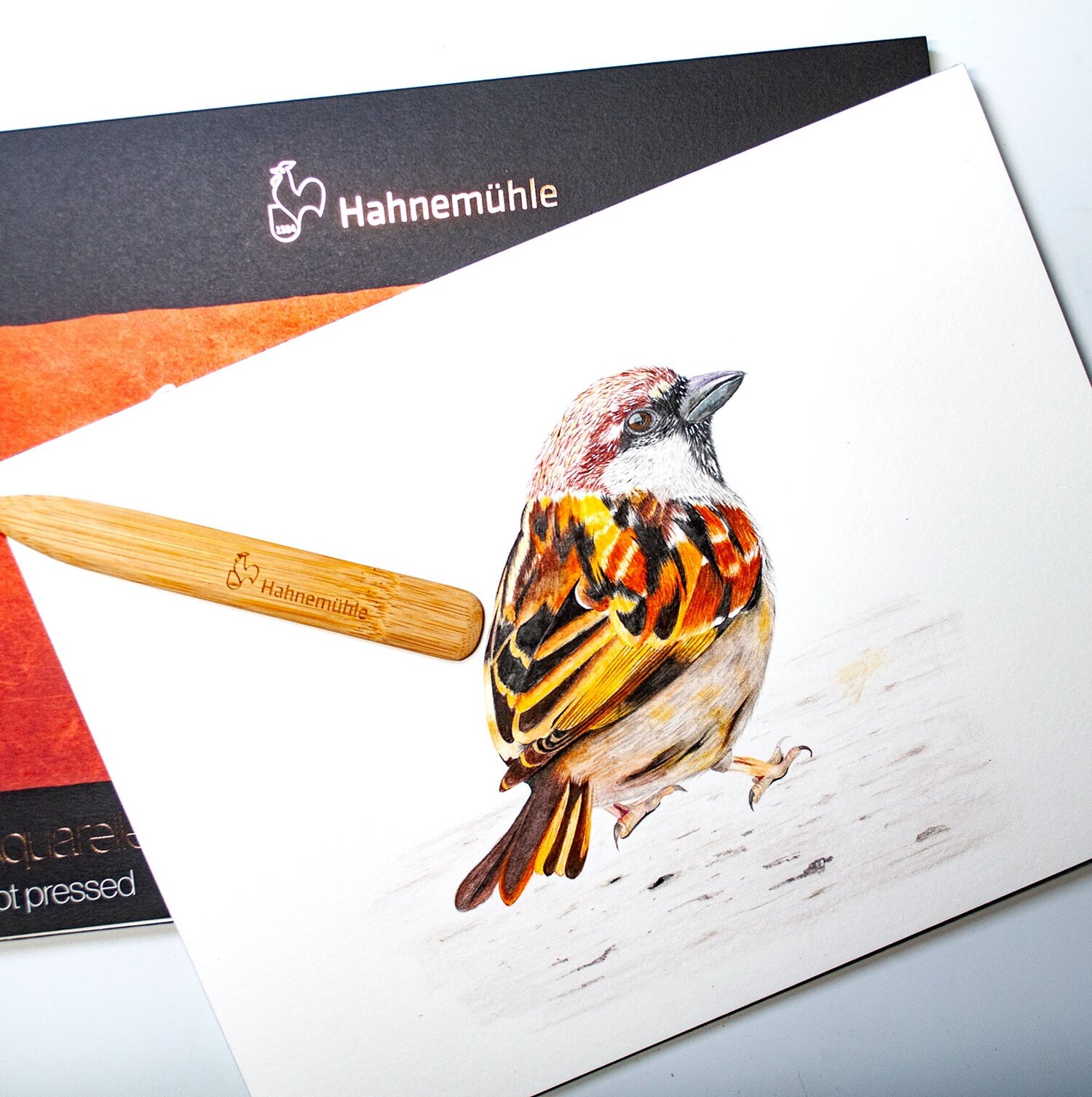 Hahnemuhle Watercolor Paper — Recent Art Projects — The Art Gear Guide