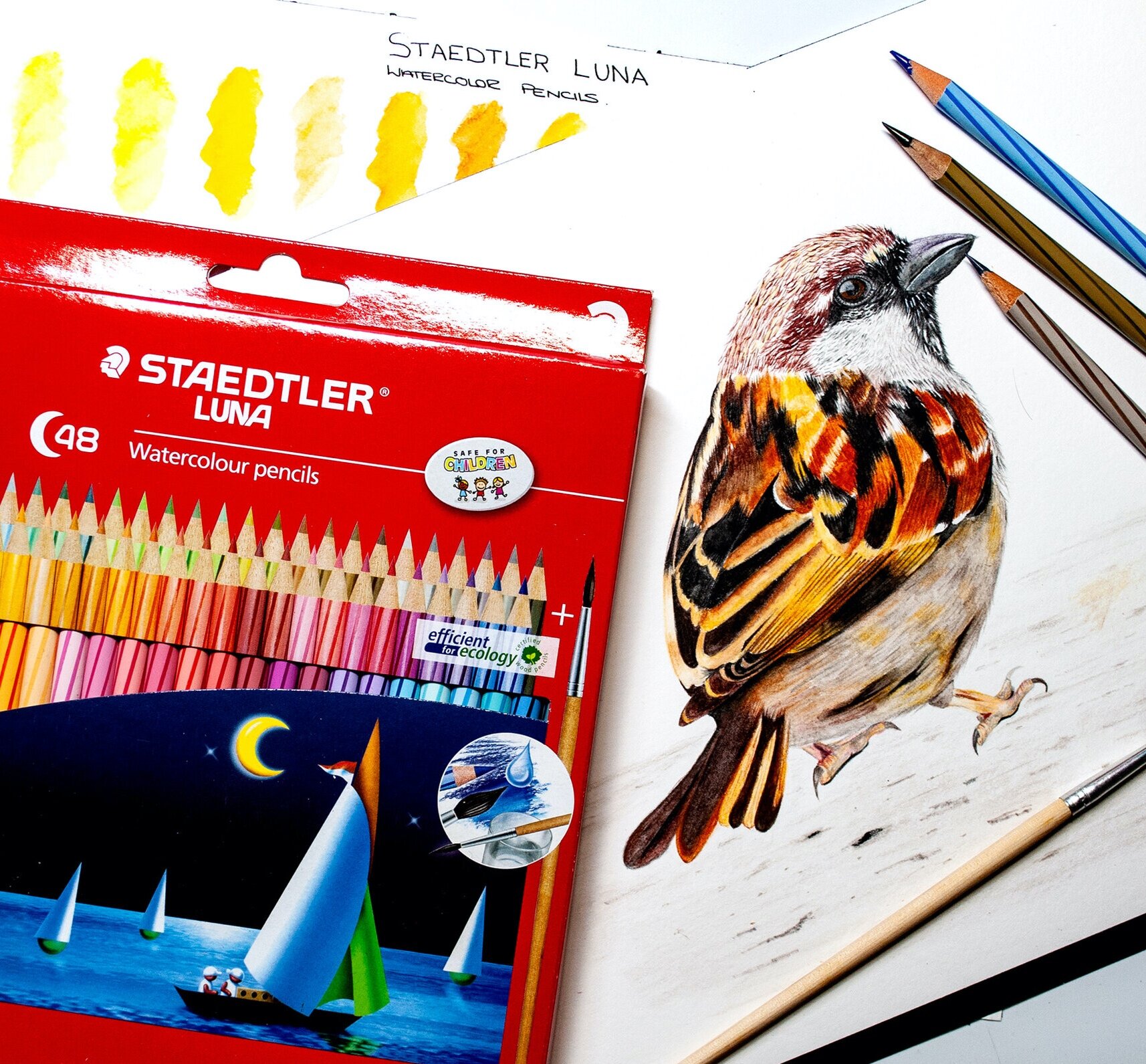 Staedtler Luna Watercolor Pencils Review — The Art Gear Guide