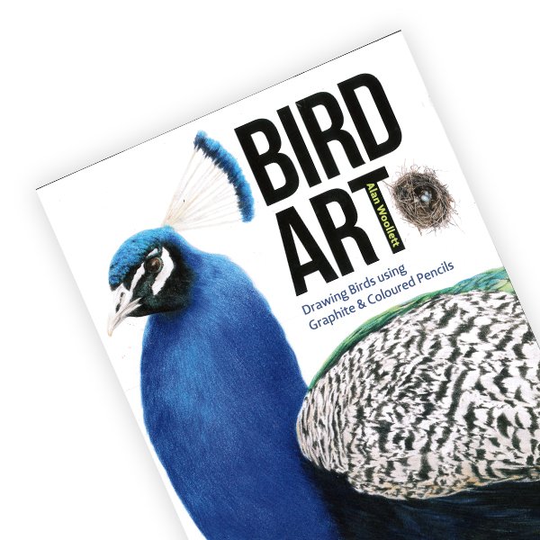 Bird Art Drawing Birds using Graphite & Coloured Pencils