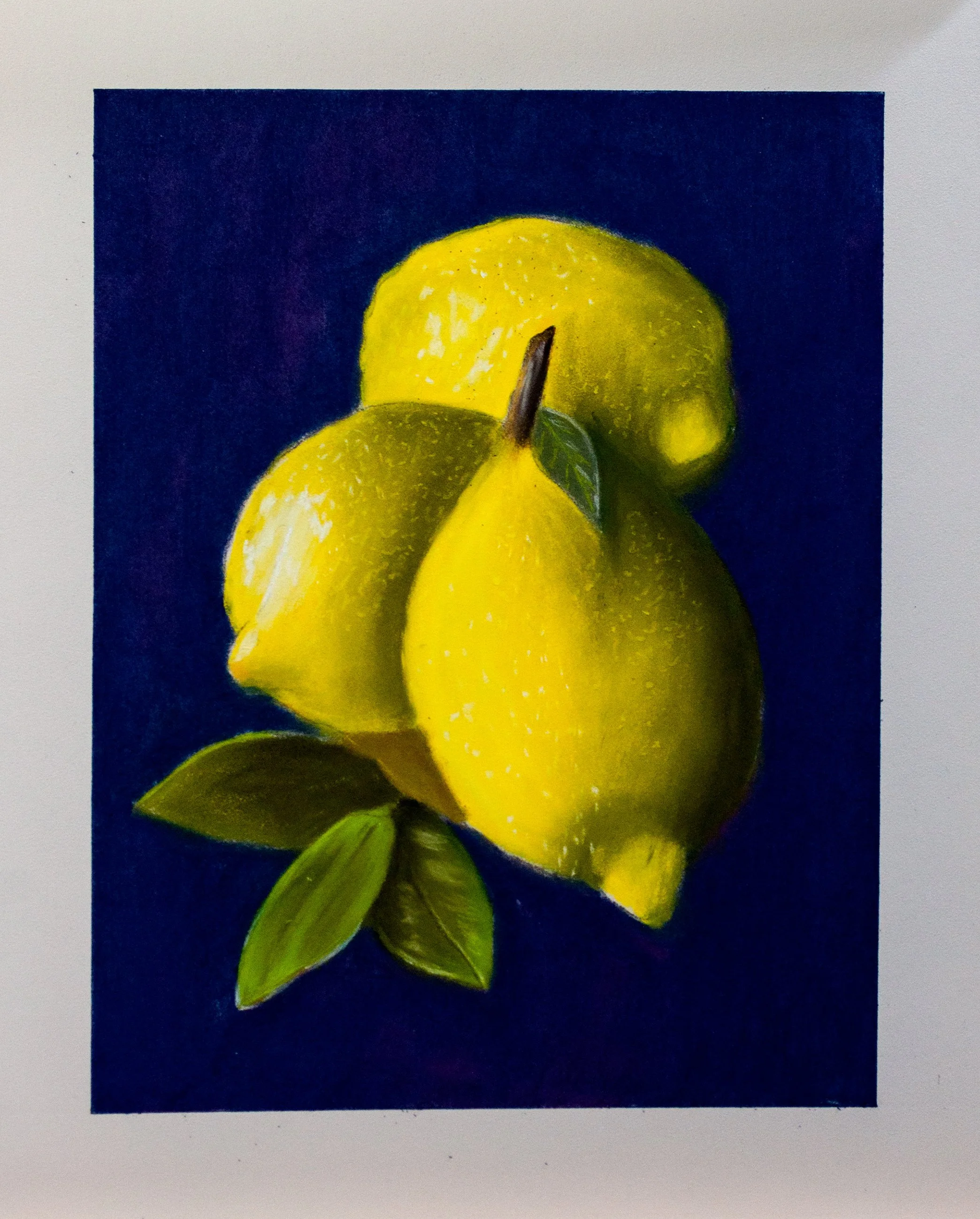 Arrtx 48 Set Of Soft Pastels | Botanical Pastel Artwork