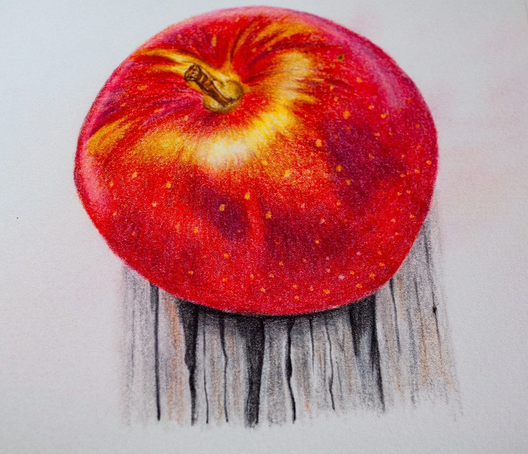 Marco Tribute Colored Pencil Art Vs Phoenixcolor Colored Pencil Art
